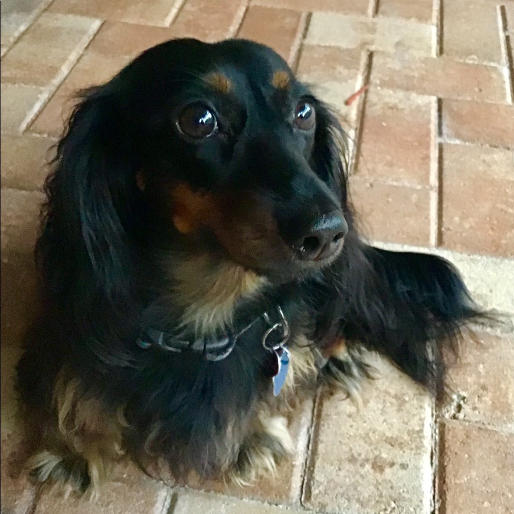 Meet your Posher, Kerry